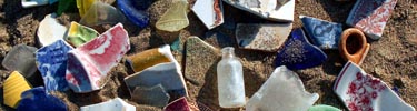Sea artifacts on Peddocks Island